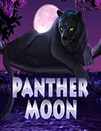 spx สล็อต: สุดยอดเกมทำเงินจาก Joker Gaming